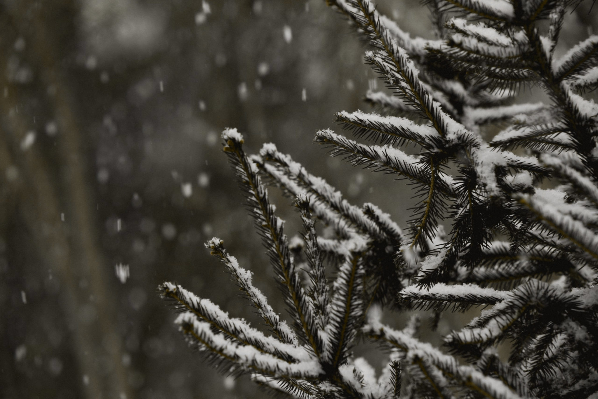 Fuel storage tanks for cold weather