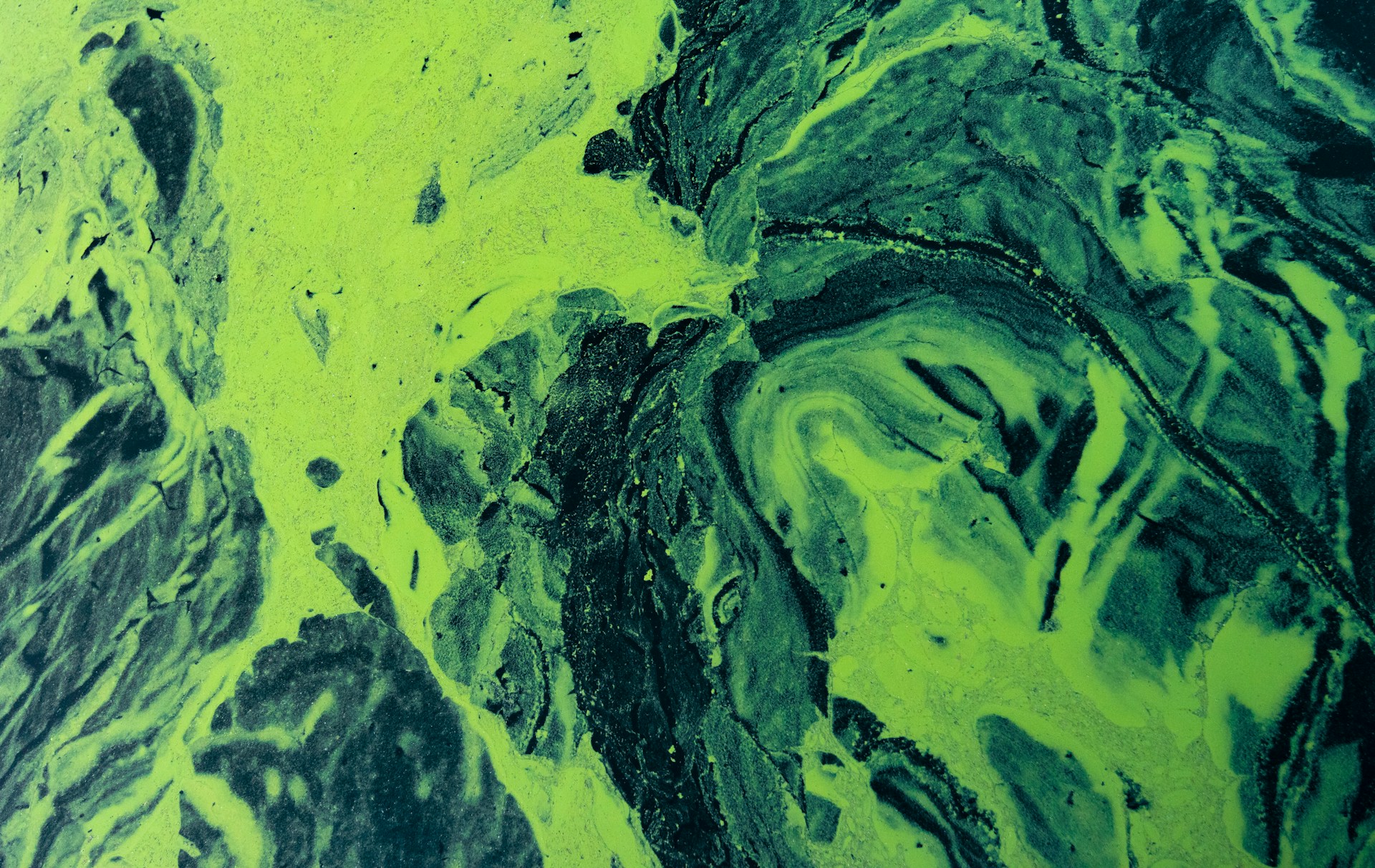 Algae growth prevention