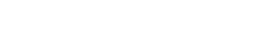 Southampton Airport Logo
